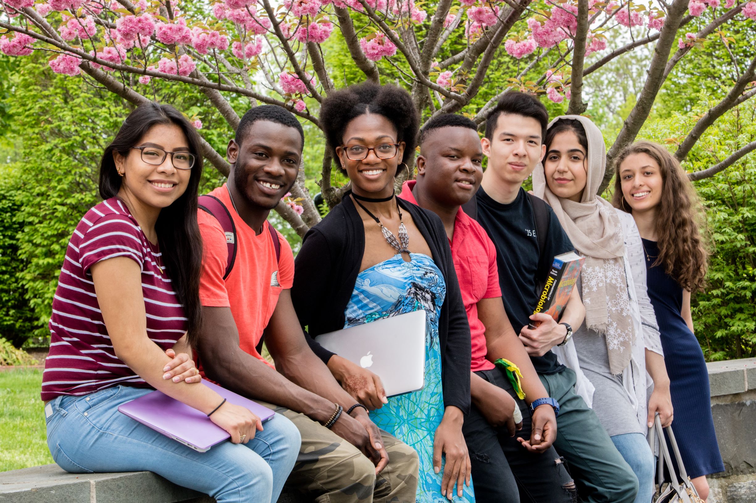 Students enroll for the new semester.